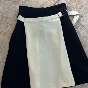 Proenza Schouler Black and Cream Mini Skirt